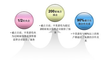 雙百行動(dòng) 專業(yè)信息咨詢服務(wù)產(chǎn)品手冊(cè)